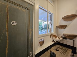 Poezencafe Nijmegen