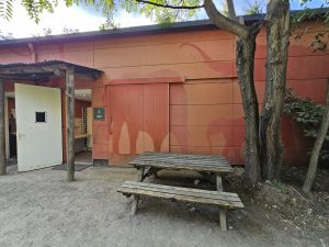 Safaripark De Beekse Bergen